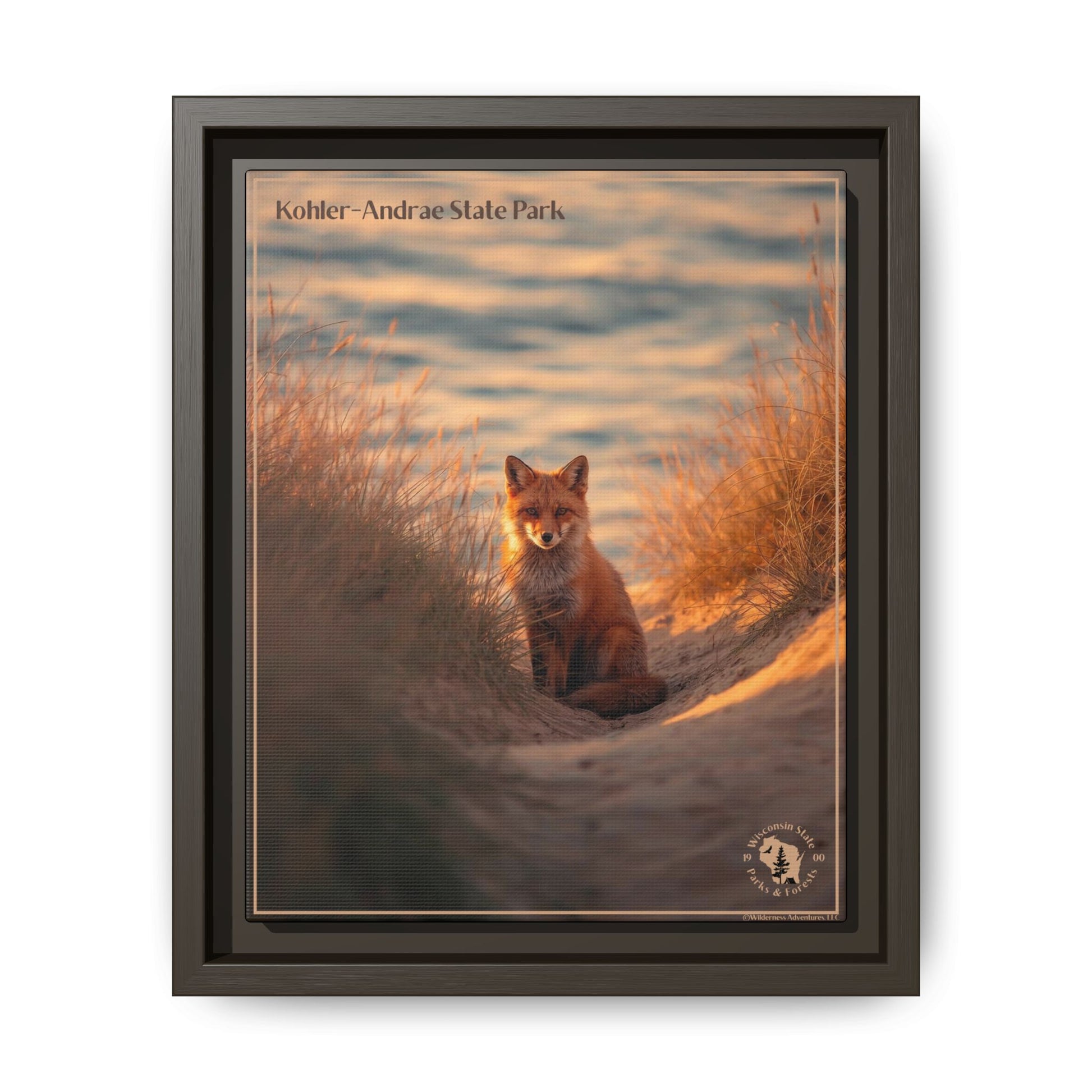 Espresso framed print featuring a Red Fox sitting in the dunes at Sunrise and the text: Kohler-Andrae  State Park.  
