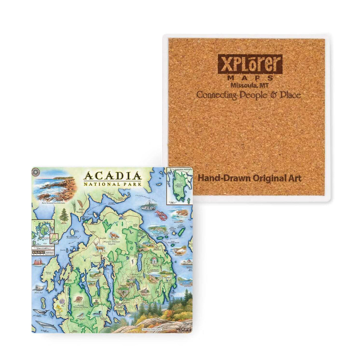 Two square coasters featuring Acadia National Park artwork, shown on a white background. One coaster displays a colorful hand-drawn map of the park, and the other shows the back with a cork-like surface.