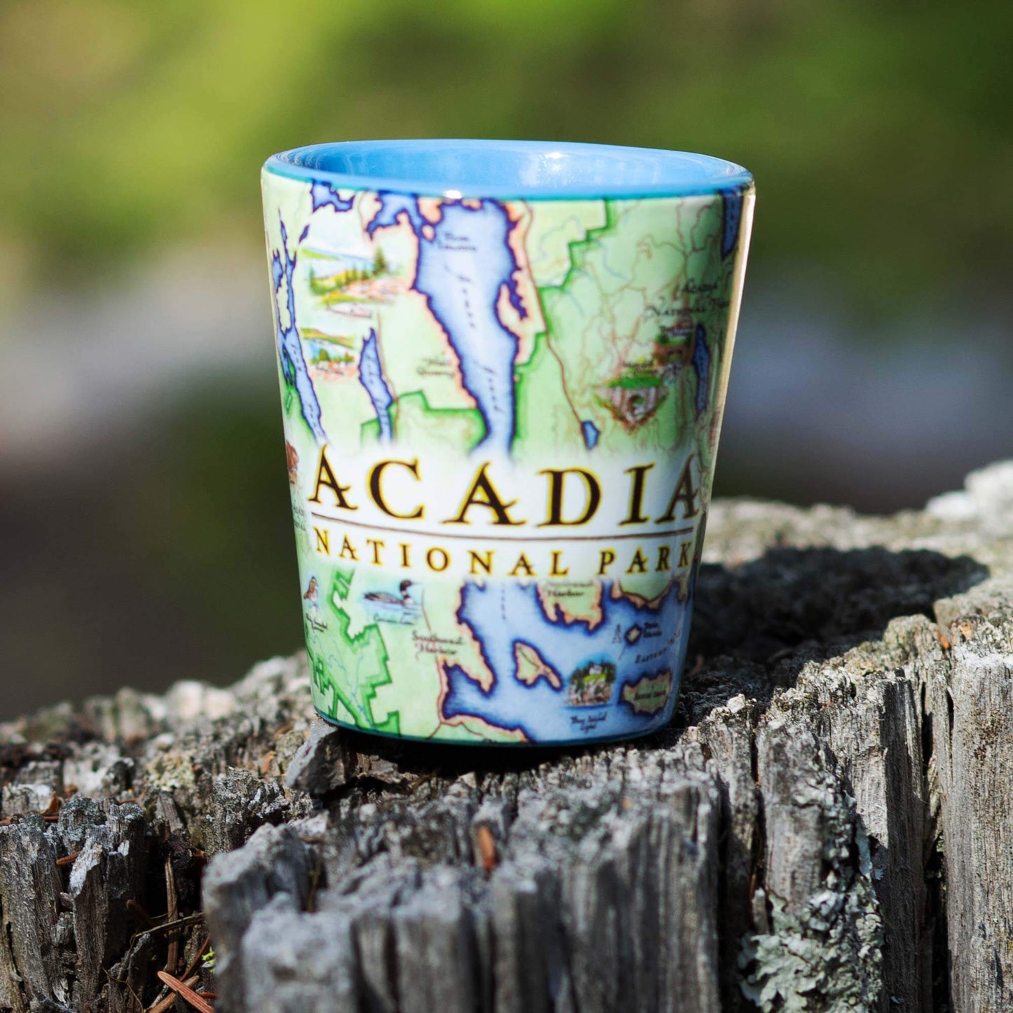 A small ceramic cup printed with a map design of Acadia National Park, featuring a blue interior rim, resting on a weathered tree stump with a blurred outdoor background.