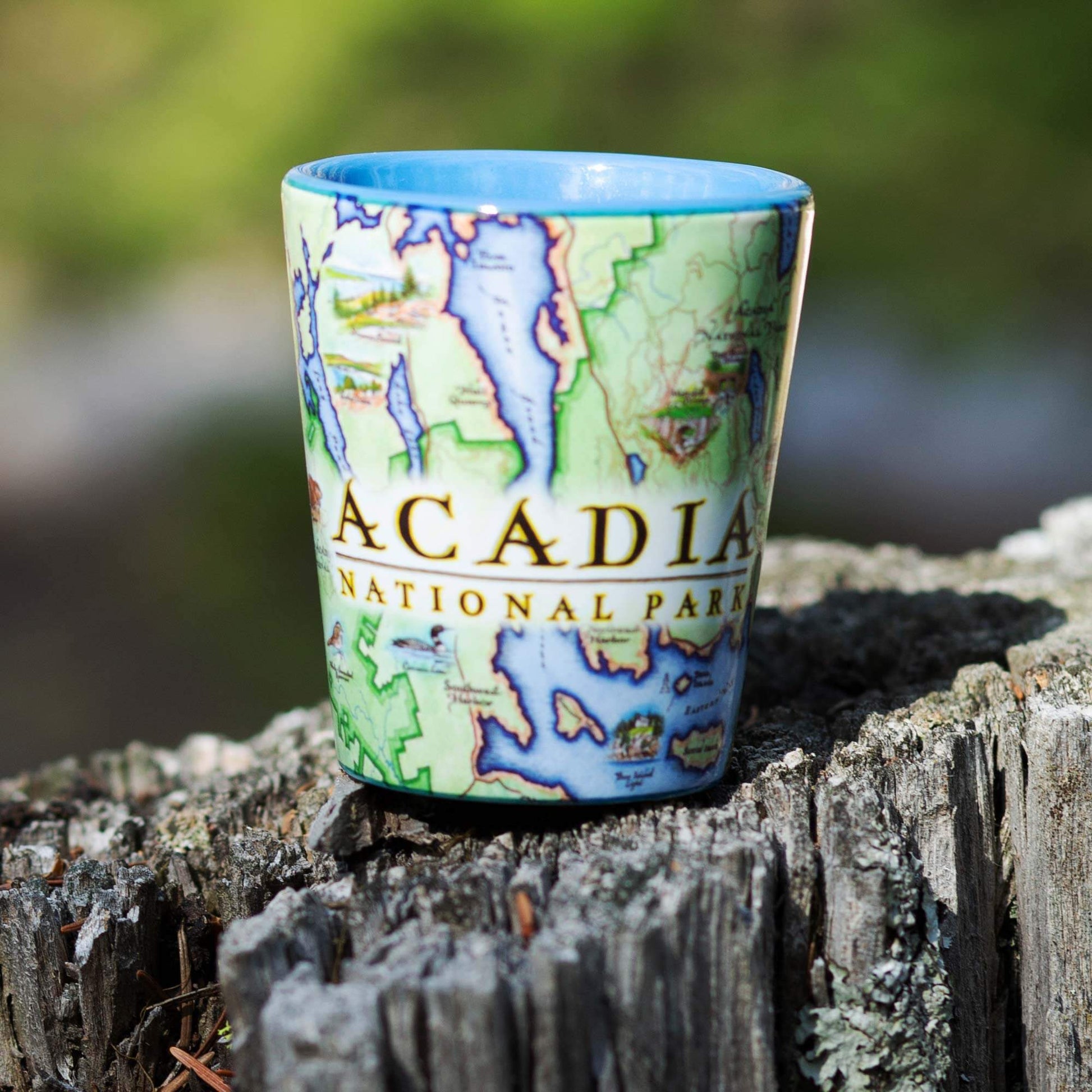 A small ceramic cup printed with a map design of Acadia National Park, featuring a blue interior rim, resting on a weathered tree stump with a blurred outdoor background.