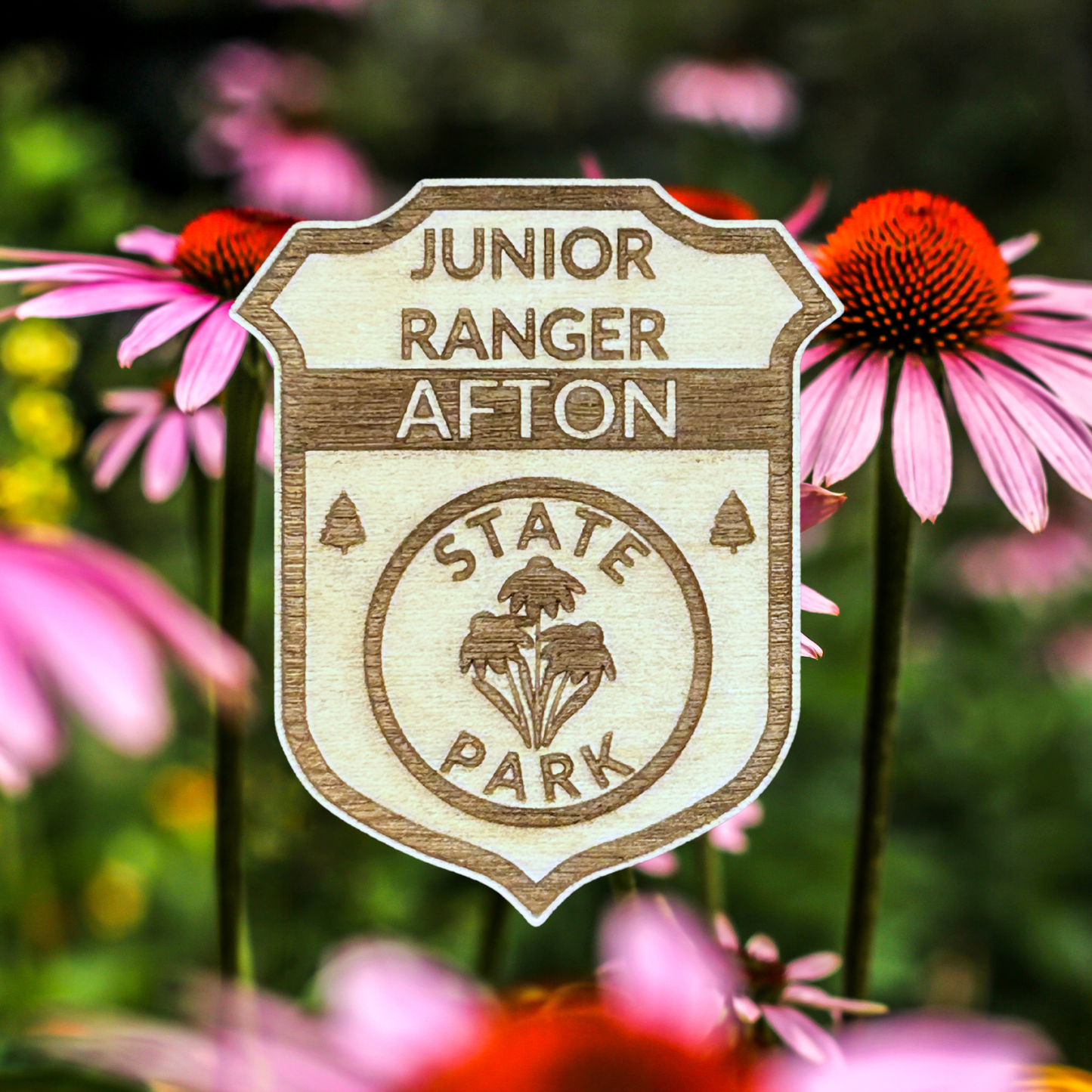 Wood Jr Ranger badge with the text “Junior Ranger Afton State Park” against a coneflower background.