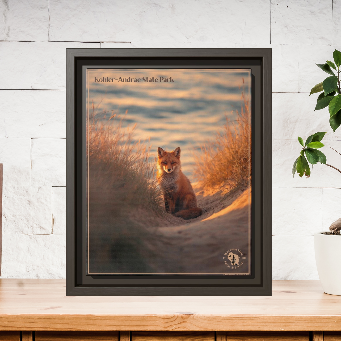 Espresso framed print featuring a Red Fox sitting in the dunes at Sunrise and the text: Kohler-Andrae  State Park.  Photo background: Wood shelf with plants on it on a white wall.