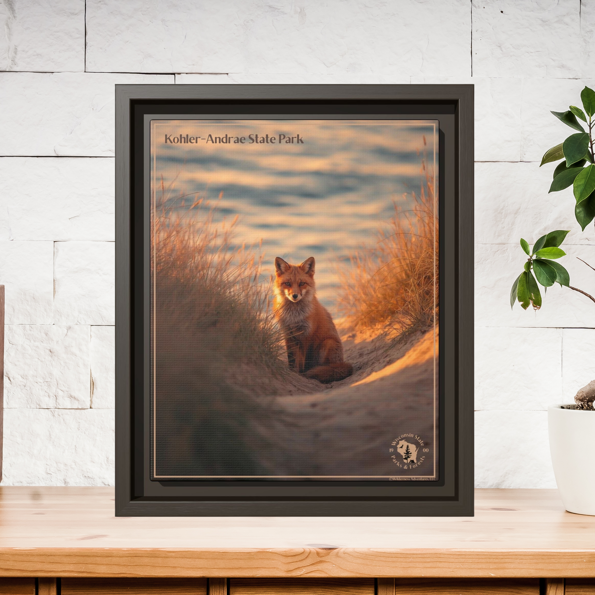 Espresso framed print featuring a Red Fox sitting in the dunes at Sunrise and the text: Kohler-Andrae  State Park.  Photo background: Wood shelf with plants on it on a white wall.