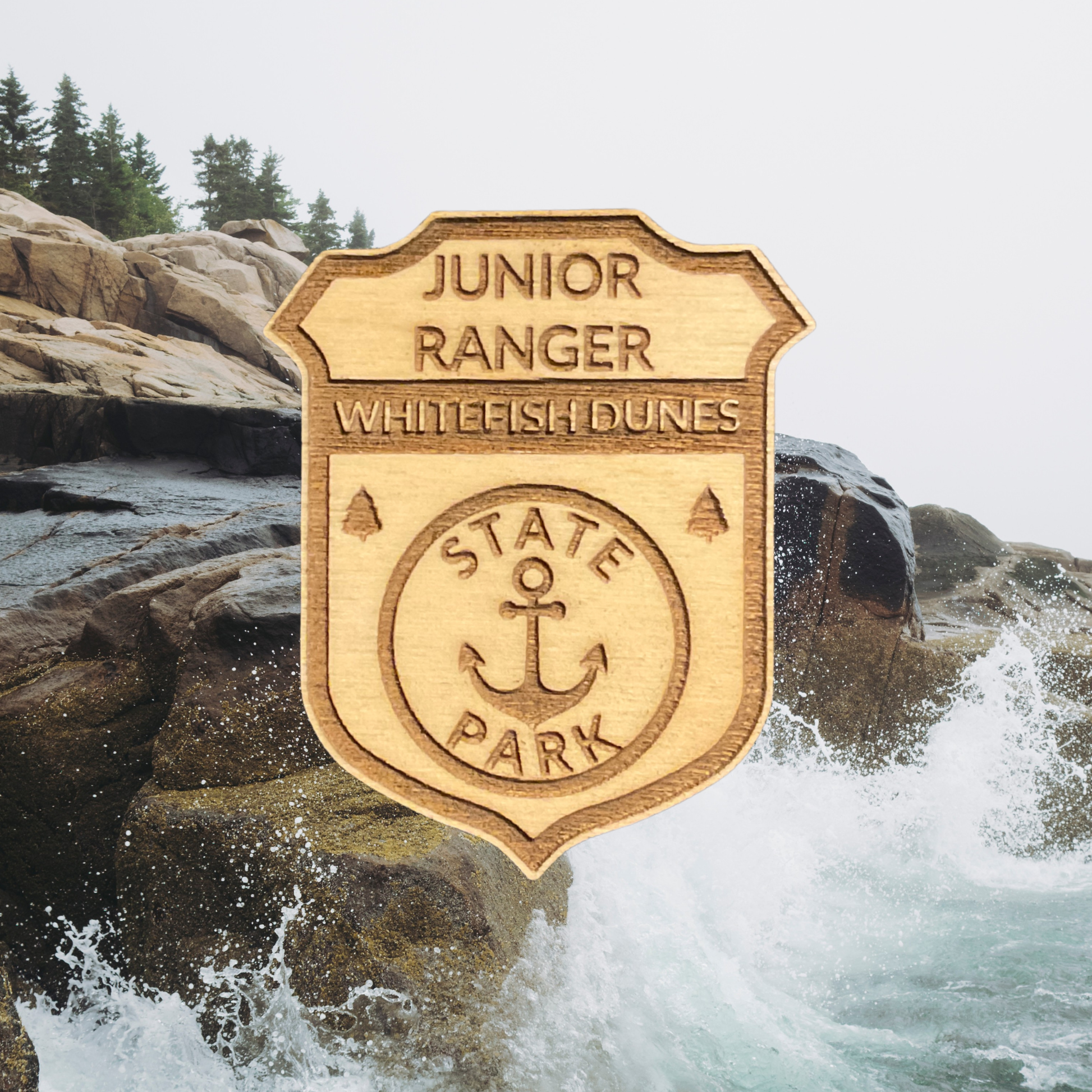 Wooden badge with 'Junior Ranger Whitefish Dunes State Park' text and an anchor icon against a rocky background.