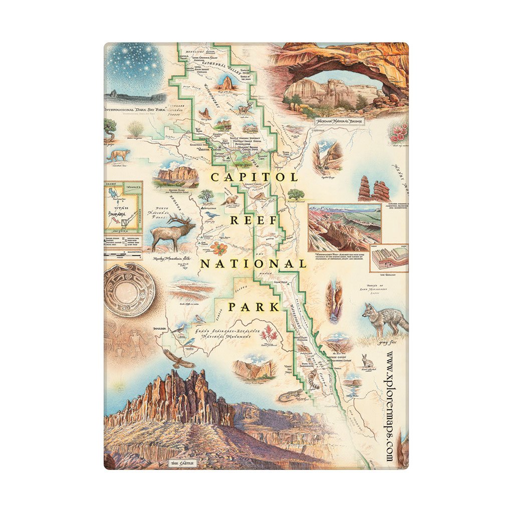 A vintage-style illustrated map magnet of Capitol Reef National Park, featuring scenic illustrations, labeled landmarks, and a cream background.