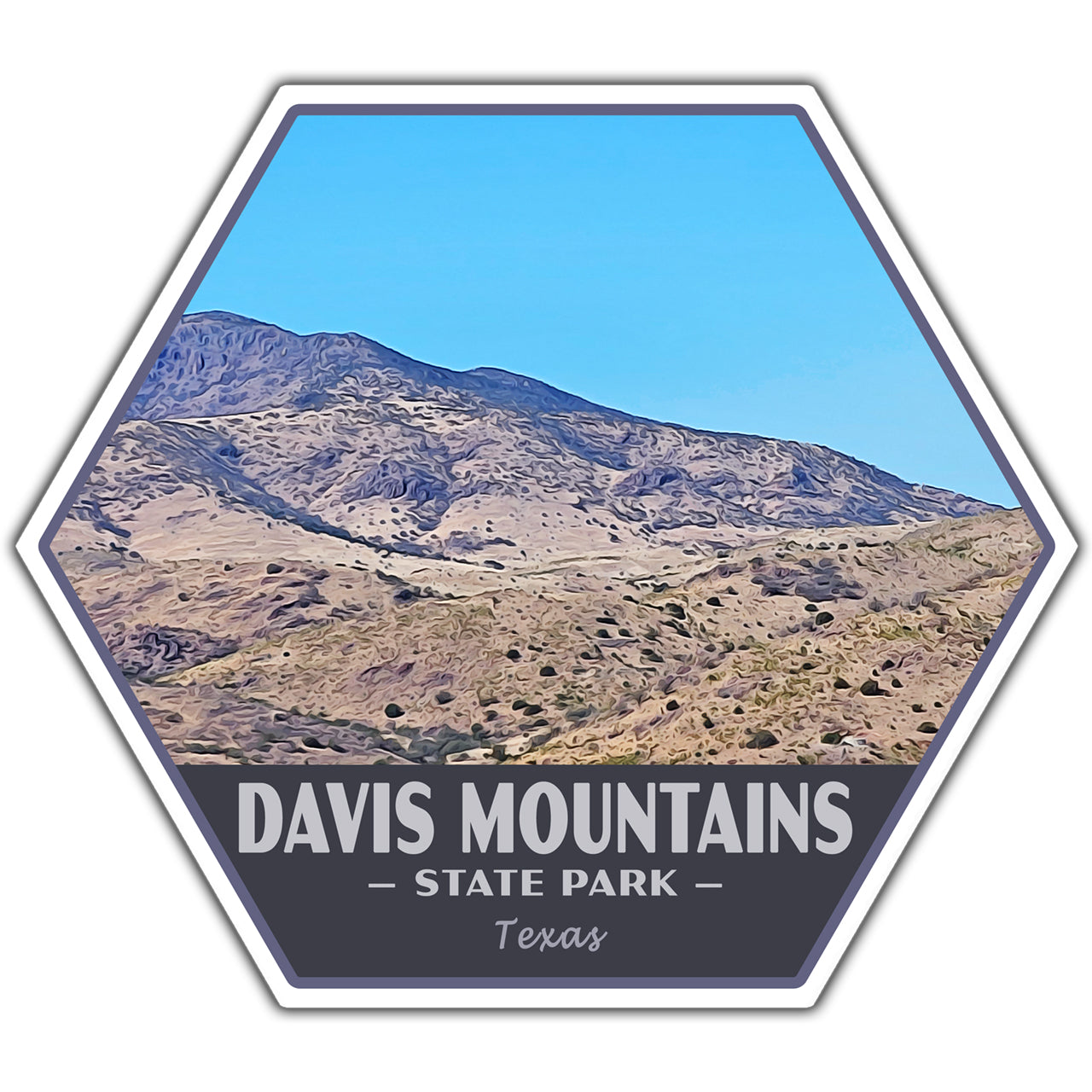 Hexagonal sticker with a mountain landscape and 'Davis Mountains State Park, Texas' text.