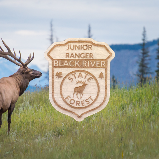 Wood shaped Jr. Ranger Badge depicting an elk and the text: Junior Ranger Black River State Forest.  Photo Background: Elk standing in a mountain meadow.