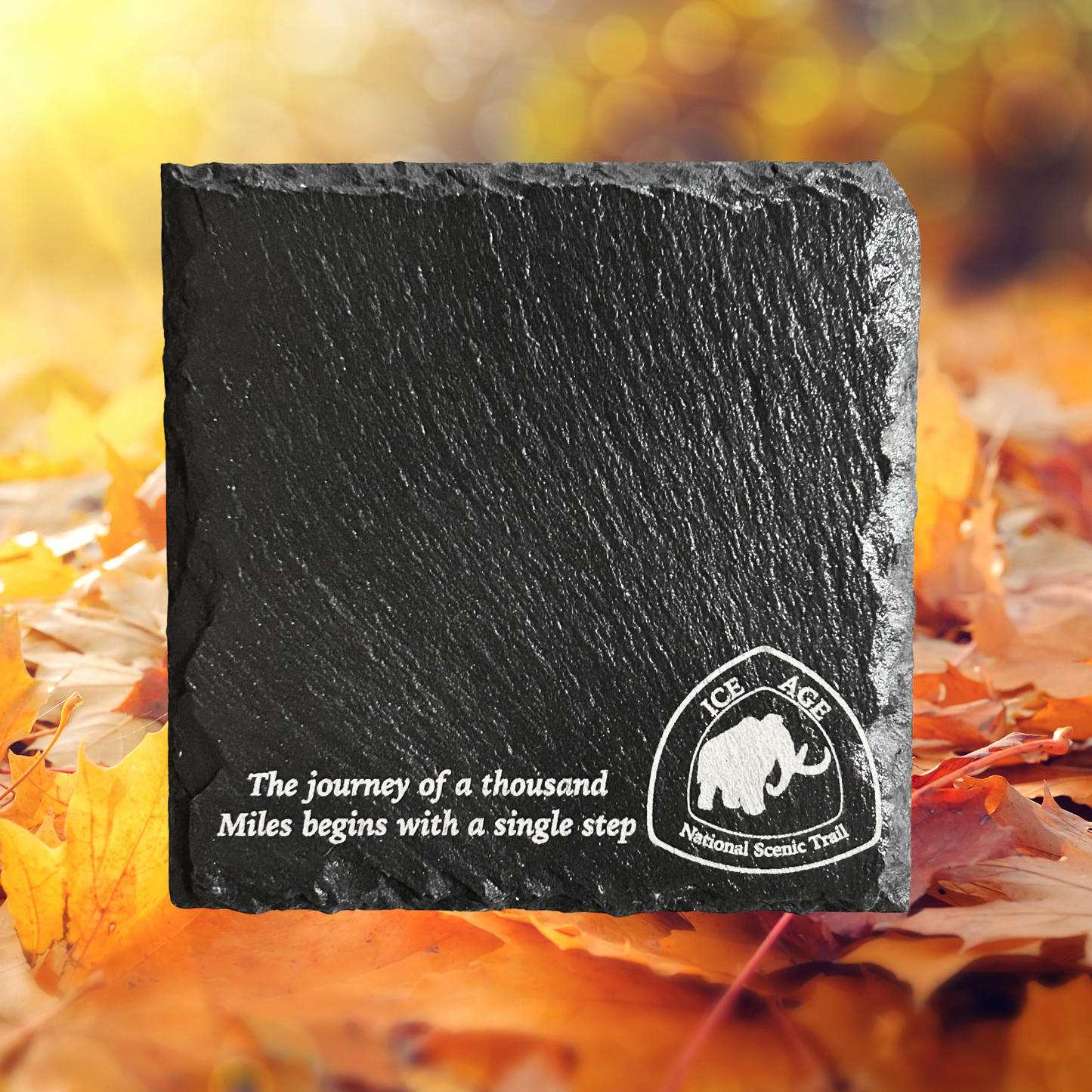 Black slate stone with Ice Age National Scenic Trail logo and quote on a blurred autumn background