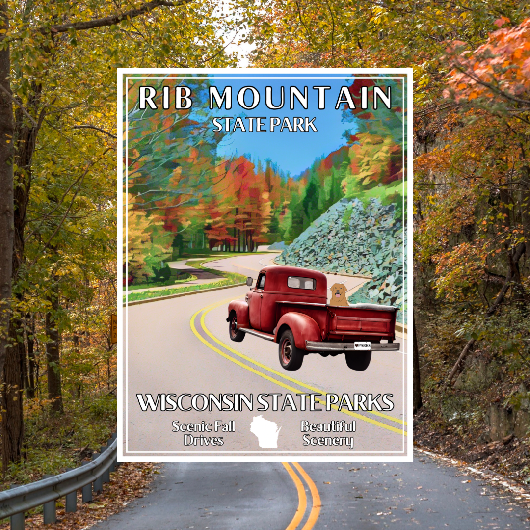 18x24” poster depicting a vintage red truck with a dog in the back driving up a curvy road lined with trees in vibrant color. Photo background: scenic back road with leaves in fall color. 