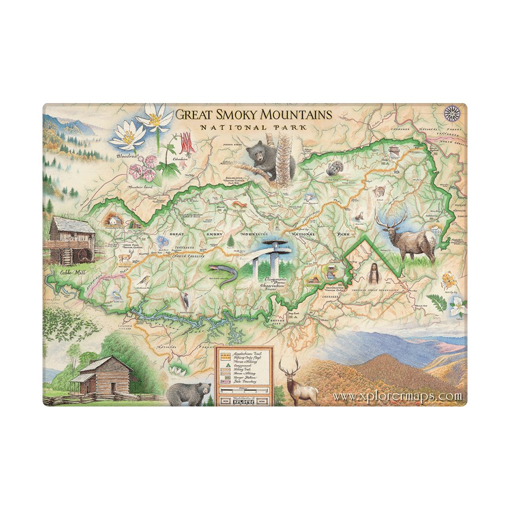 A rectangular magnet with map of Great Smoky Mountains National Park with illustrated scenic details, animals, roads, and labels on a cream background, shown against a plain white backdrop.