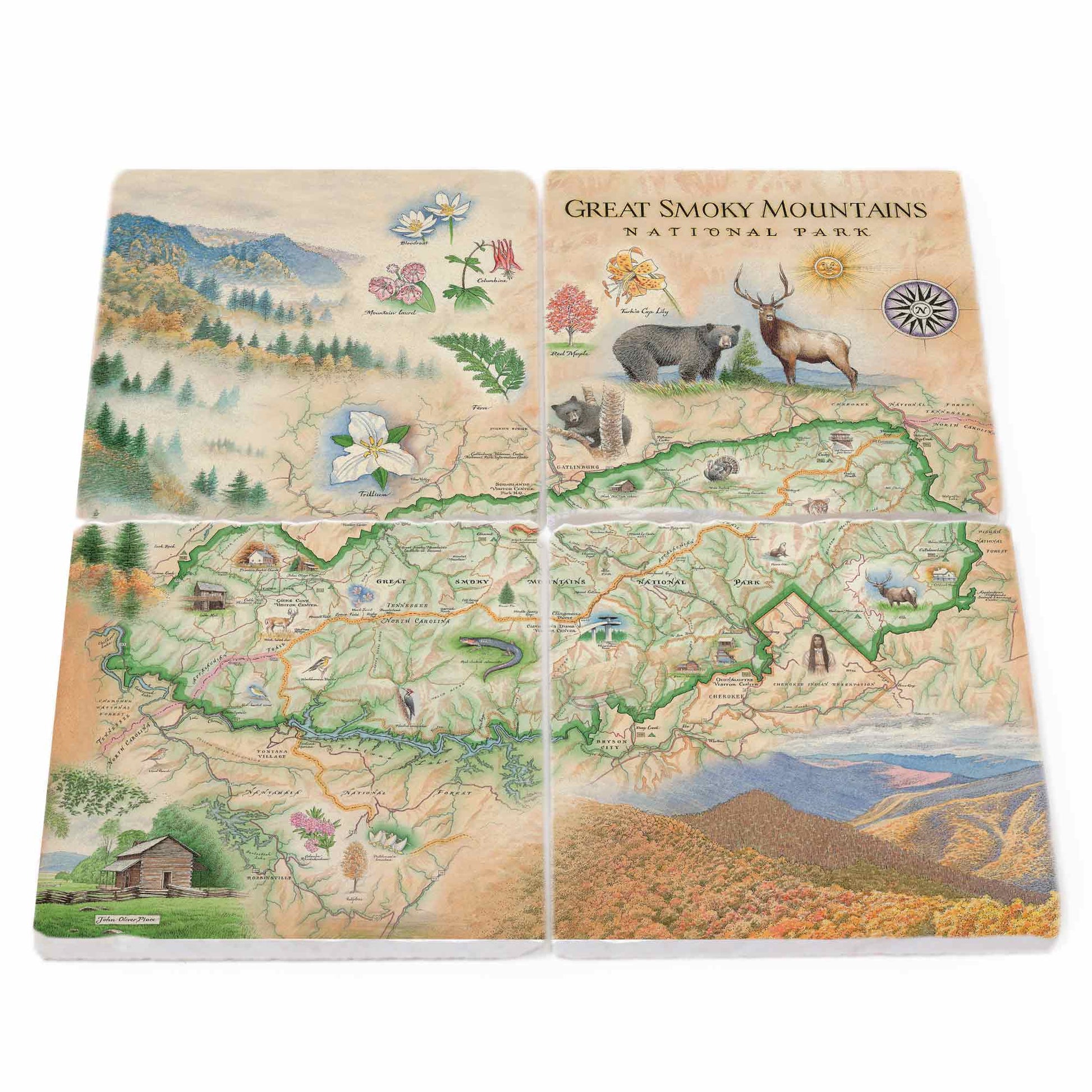 Four square coasters arranged in a 2x2 grid, each printed with an illustrated map and scenery of Great Smoky Mountains National Park, including mountains, forests, animals, flowers, and a cabin.