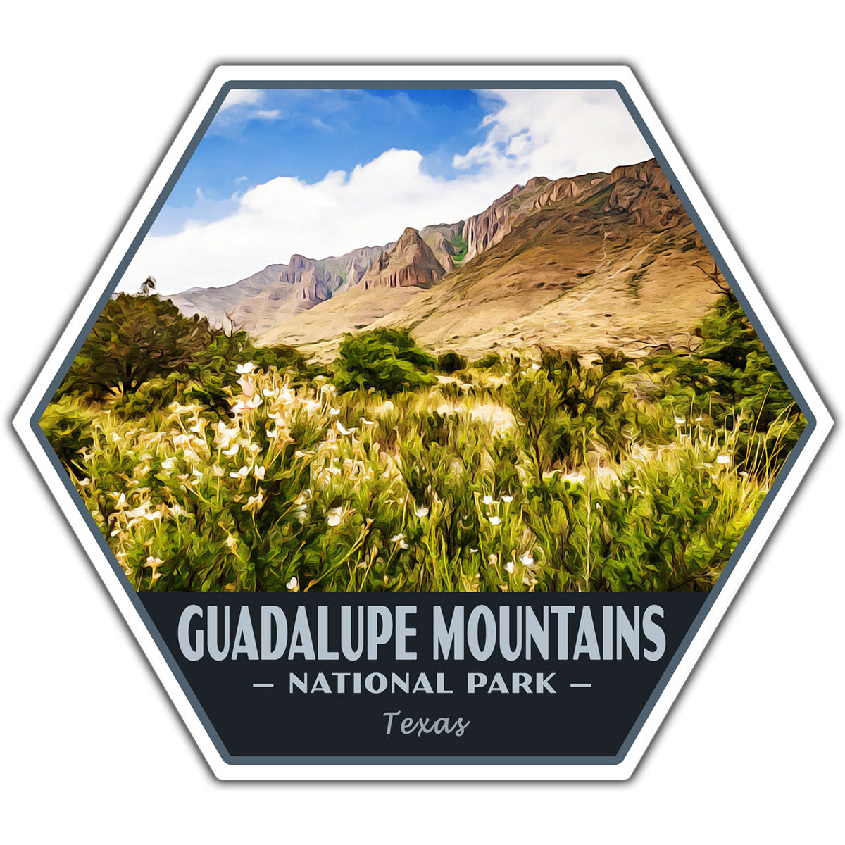 A hexagonal sticker featuring a landscape photo of Guadalupe Mountains National Park in Texas, with a dark blue banner at the bottom reading 'GUADALUPE MOUNTAINS - NATIONAL PARK - Texas'.