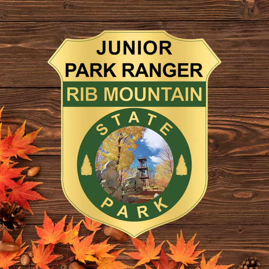 Rib Mountain State Park Junior Park Ranger badge depicting the observation tower and fall leaf colors.  Photo background: dark stained wood and fall leaves.