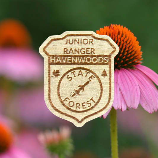 Wood Jr Ranger badge depicting a missile and the text Junior Ranger Havenwoods State Forest.  Photo background: coneflowers.