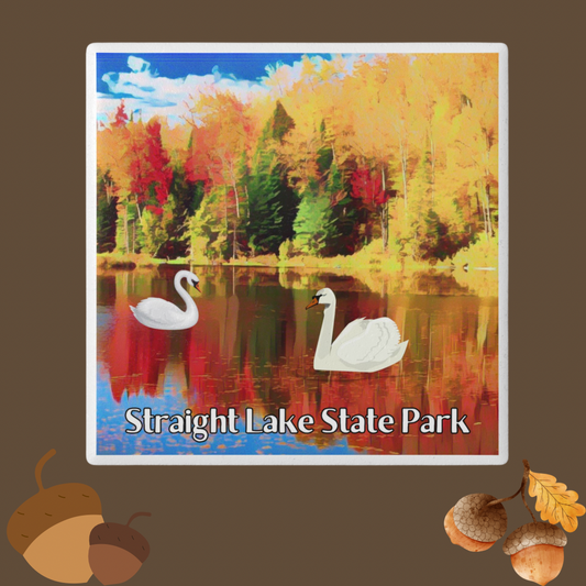 Ceramic coaster featuring two swans on a lake in fall and the text straight lake state park.