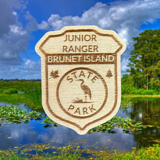 Wood Shaped badge with the text “Junior Ranger Brunet Island State Park” and Great Blue Heron symbol.  Photo background: lush wetland.