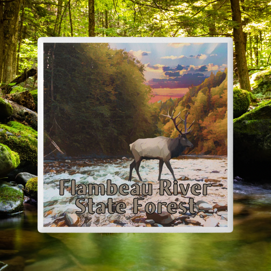 Coaster depicting an elk crossing a river at sunset.  Photo background:  stream flowing through a lush green forest.