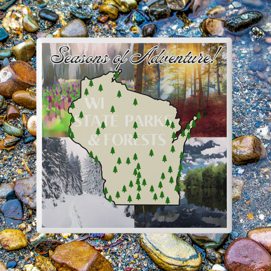 Ceramic coaster featuring a map of all the parks and forests of Wisconsin on a background depicting images of different seasons of winter, spring, summer, and fall.  Photo background: colorful river rock.