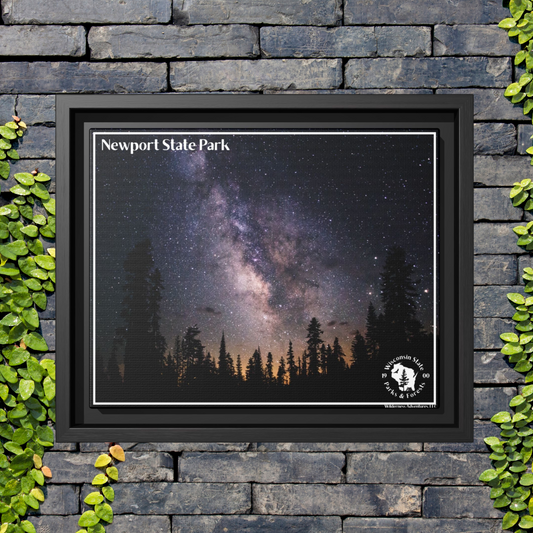 Framed canvas print of the Milky Way Galaxy in the night sky.  Photo background: grey brick wall with vines crawling up.