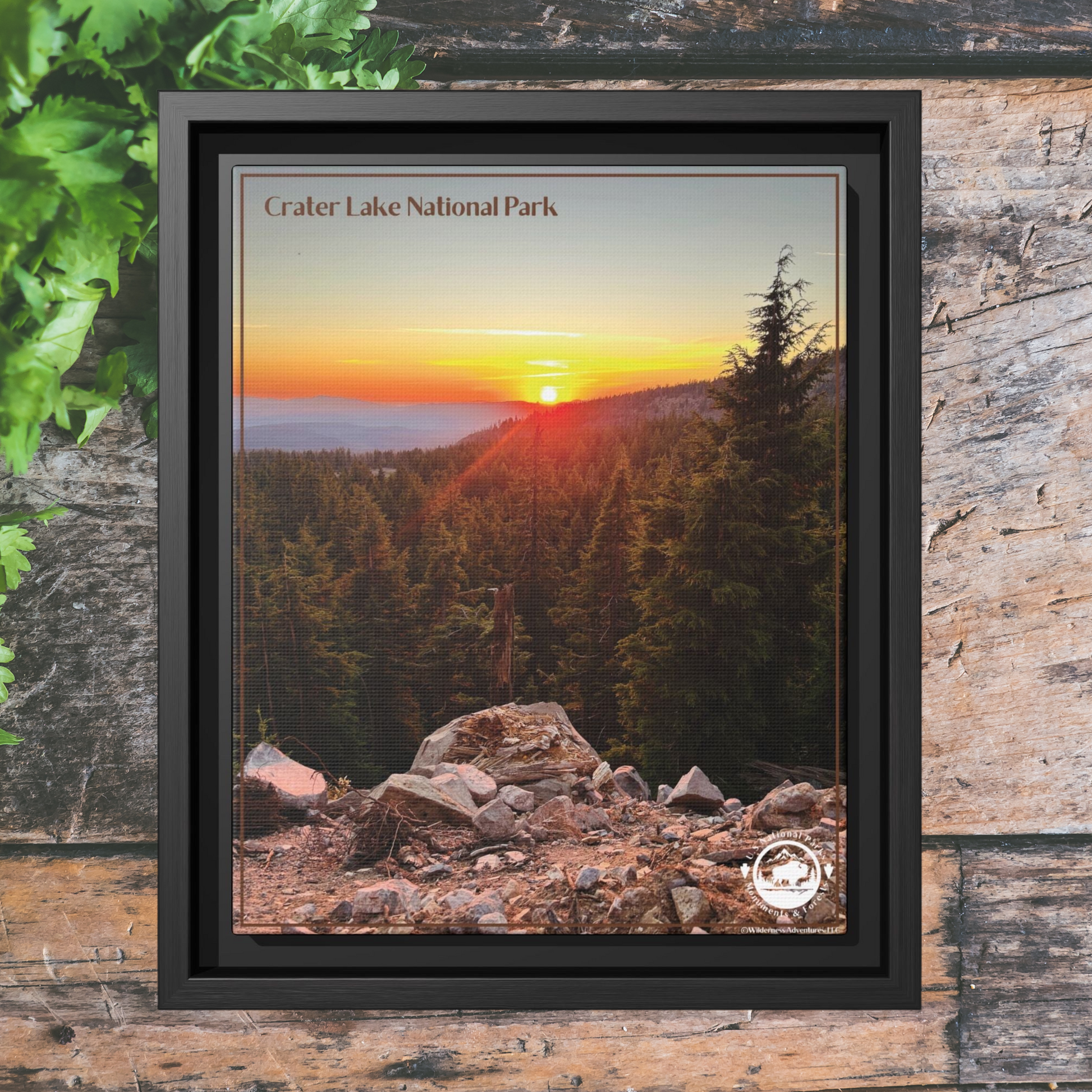 Black framed canvas print depicting a Majestic sunset over forested mountains at Crater Lake National Park.  Photo background: rustic wood plank wall with vegetation hanging down on it.
