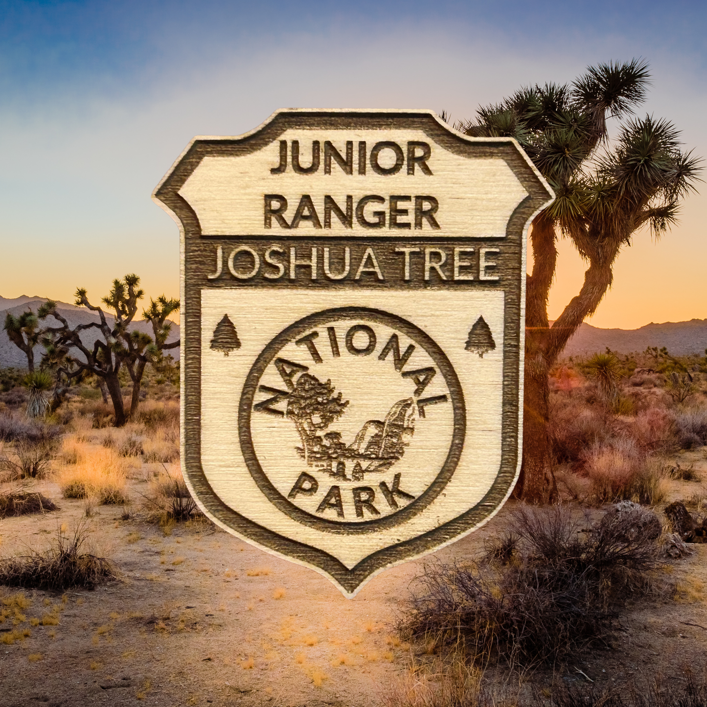 Junior Ranger Joshua Tree National Park badge in a desert landscape with Joshua trees.