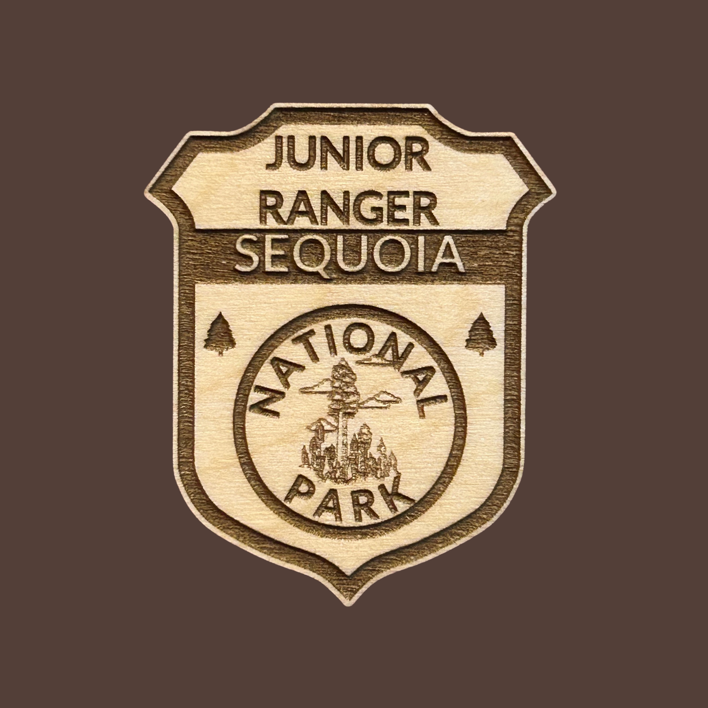 Junior Ranger Sequoia National Park badge on a brown background