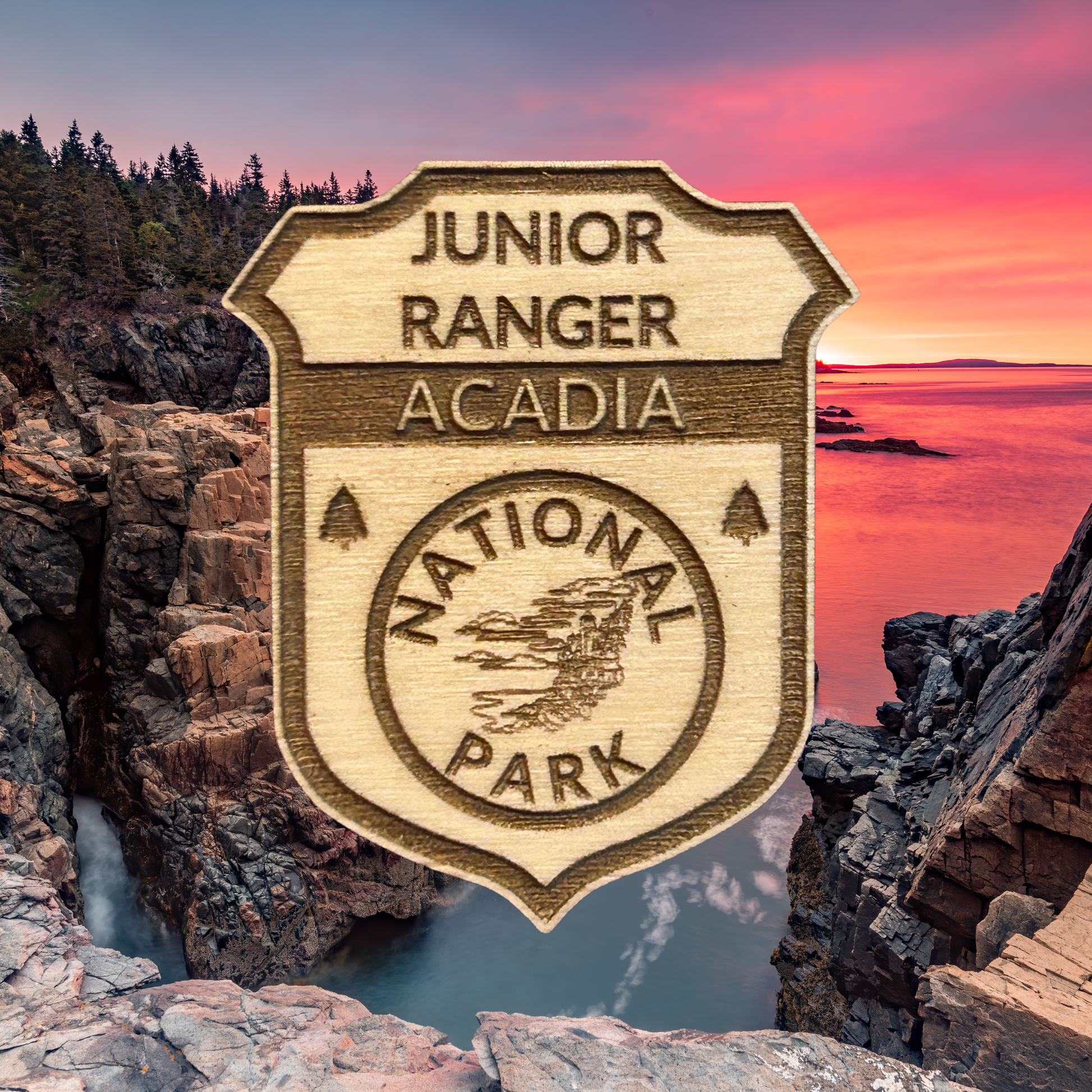 Junior Ranger Acadia National Park badge with a scenic background of rocks and water.