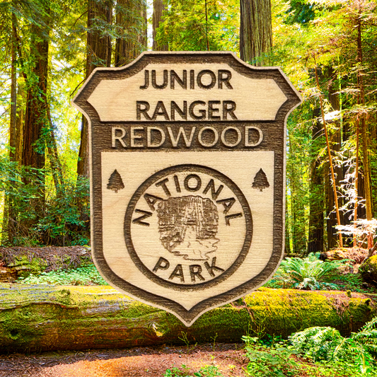 Junior Ranger Redwood National Park badge in a forest setting