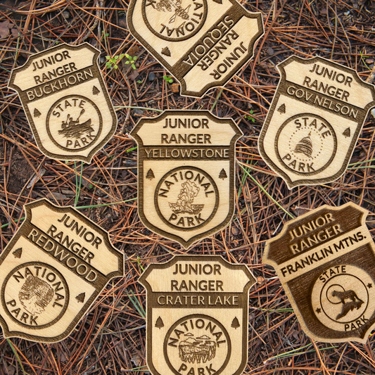 Collection of handmade wood Junior Ranger badges from various national and state parks on a pine needle background.