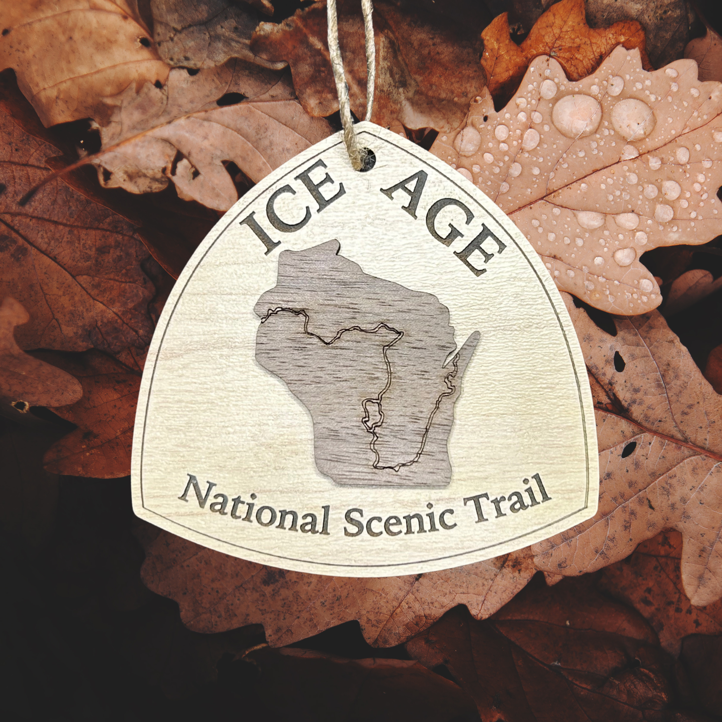 Wood ornament in the shape of the national trail's icon, with a walnut Wisconsin Shaped center piece depicting the Ice Age Trail Route.  Ornament contains the text "Ice Age National Scenic Trail".  Photo background: close up of leaves with dew drops.