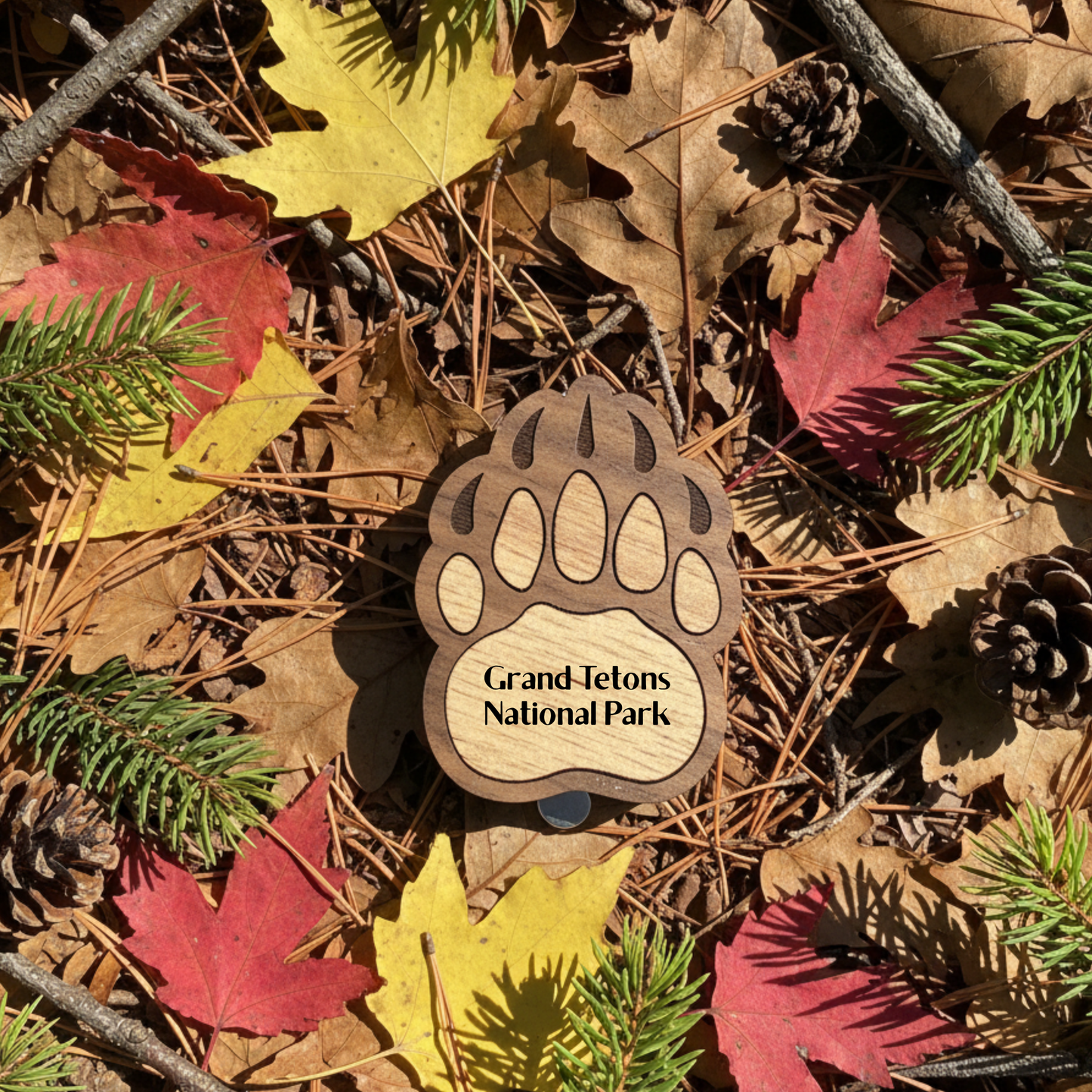 Wooden paw-shaped magnet with 'Grand Tetons National Park' text on a bed of autumn leaves and pine needles.