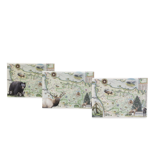A set of three Olympic national Park magnets featuring hand-drawn map, designs, and various wildlife set against a white background