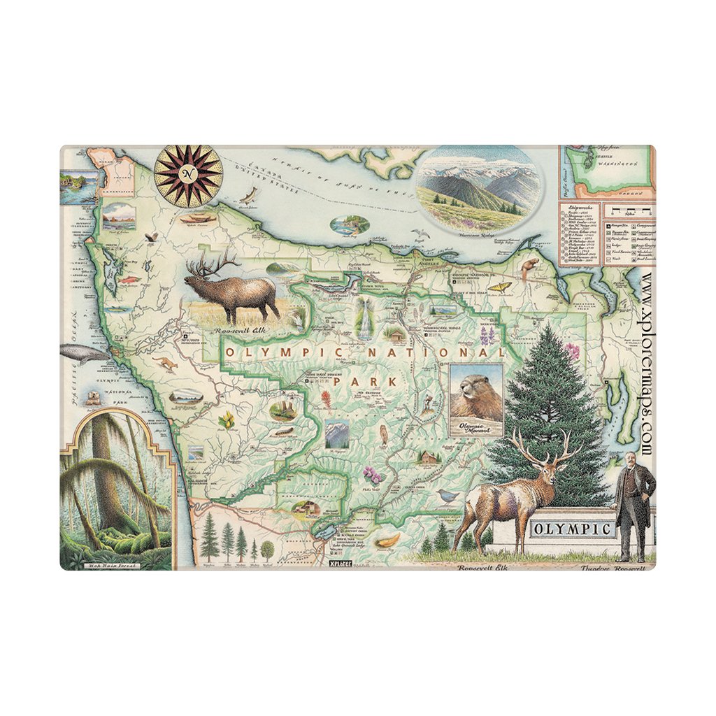 Magnet featuring a hand drawn map of Olympic national Park set against a white background