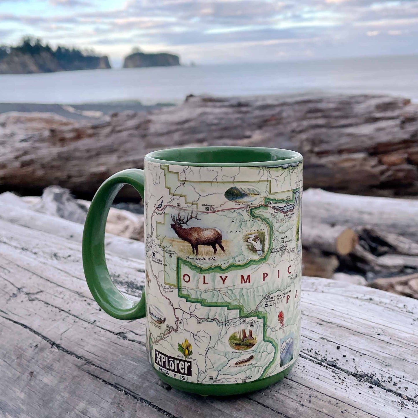 A green ceramic mug with a vintage-style map print featuring an elk, fish, and the word 'OLYMPIC', placed on weathered driftwood with a coastal shoreline and water in the background.