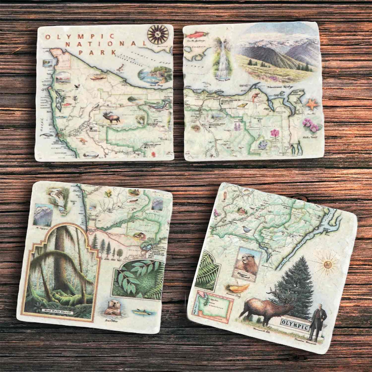 Four square coasters featuring vintage-style illustrated maps of Olympic National Park, arranged in a 2x2 grid on a dark wood surface.