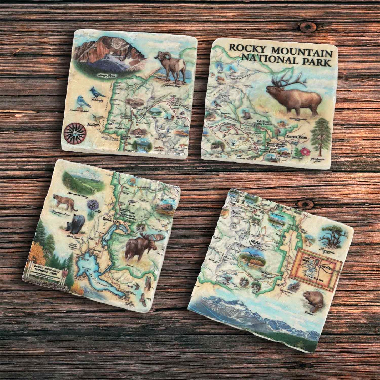 Set a four Rocky Mountain national Park, ceramic coasters, depicting, a map of the park said against a wood surface