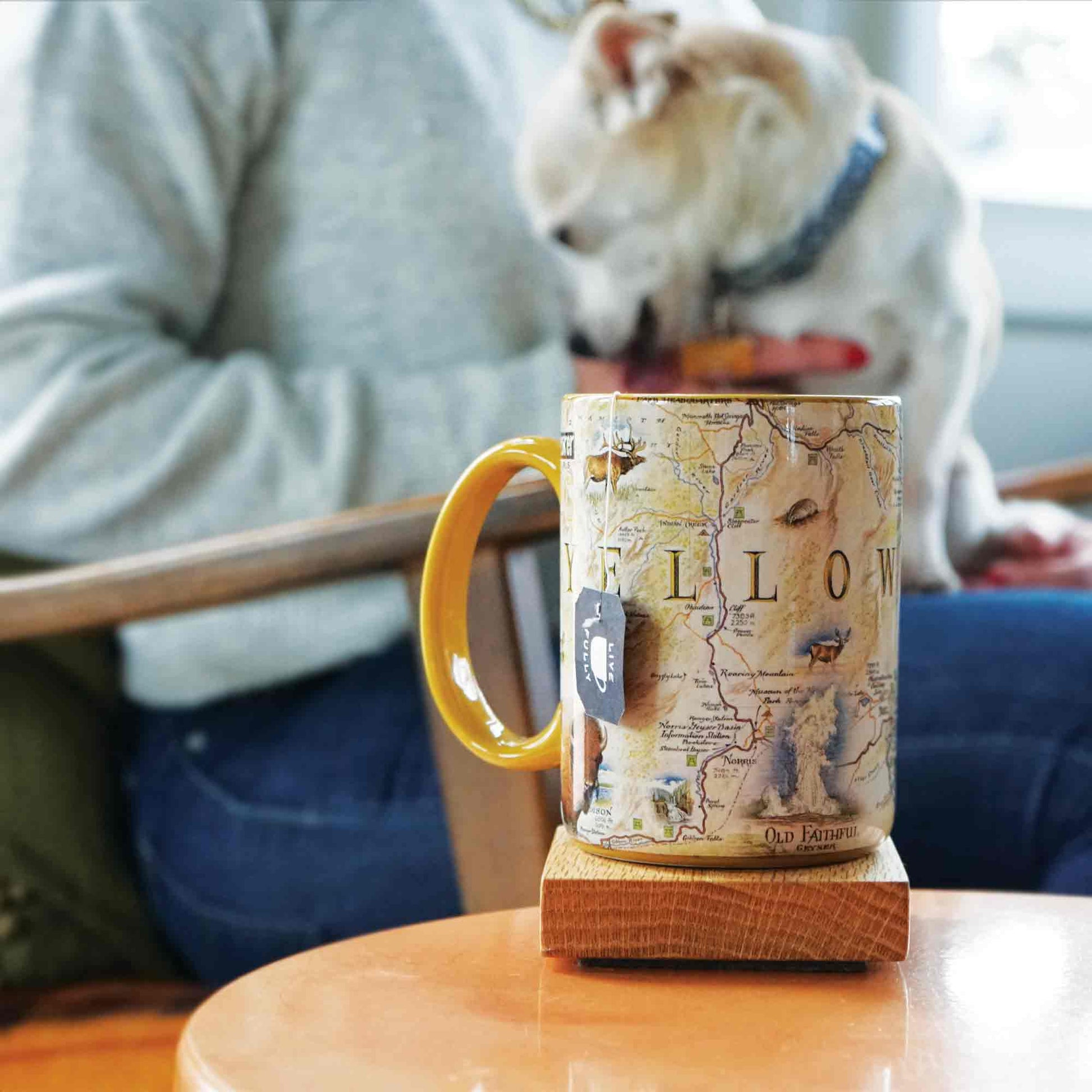 Person holding a mug with a dog sniffing around it on a wooden table.