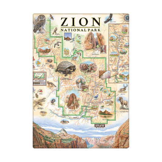 An illustrated Zion National Park map magnet with the title 'ZION NATIONAL PARK' at the top, surrounded by scenic illustrations, wildlife, and canyon landscapes. The magnet is centered on a plain white background.