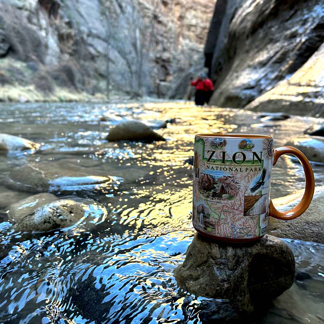 A ceramic mug printed with 'ZION NATIONAL PARK' and scenic illustrations sits on a rock in a shallow stream, with a blurred person in a red jacket standing in the background among canyon walls.