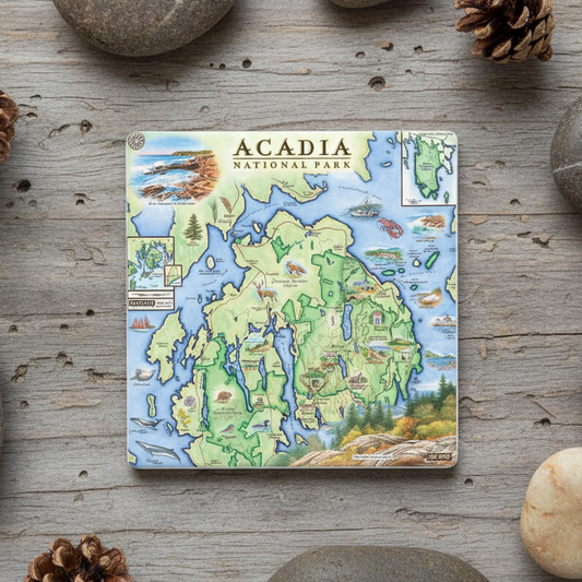 A square coaster featuring a colorful illustrated map of Acadia National Park, styled in a flat-lay on a weathered gray wood surface surrounded by decorative stones and pinecones.