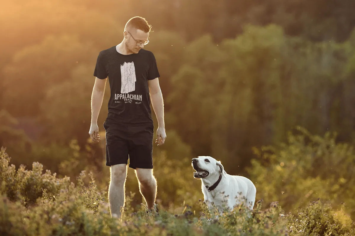 Man and dog standing in a field with a warm, golden light