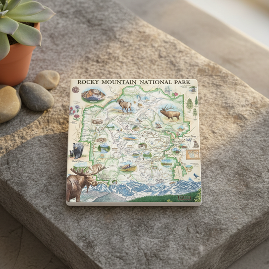 A square ceramic tile coaster featuring an illustrated map of Rocky Mountain National Park, styled on a gray stone slab next to a small potted succulent.