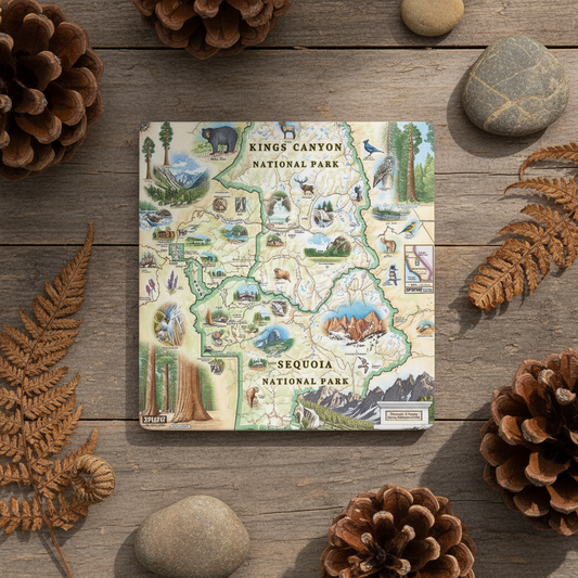 A square coaster featuring an illustrated map of Kings Canyon and Sequoia National Parks, styled in a flat-lay on a rustic wooden surface surrounded by pine cones, ferns, and stones.