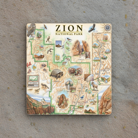 A square illustrated map coaster of Zion National Park, featuring labeled sections, scenic illustrations, animals, and a compass rose, photographed on a gray stone surface.